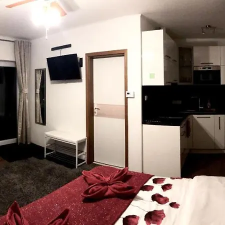 Apartman Svitlana Appartement *